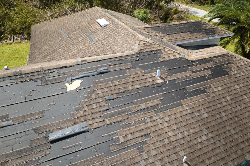 Replacing Damaged Shingles